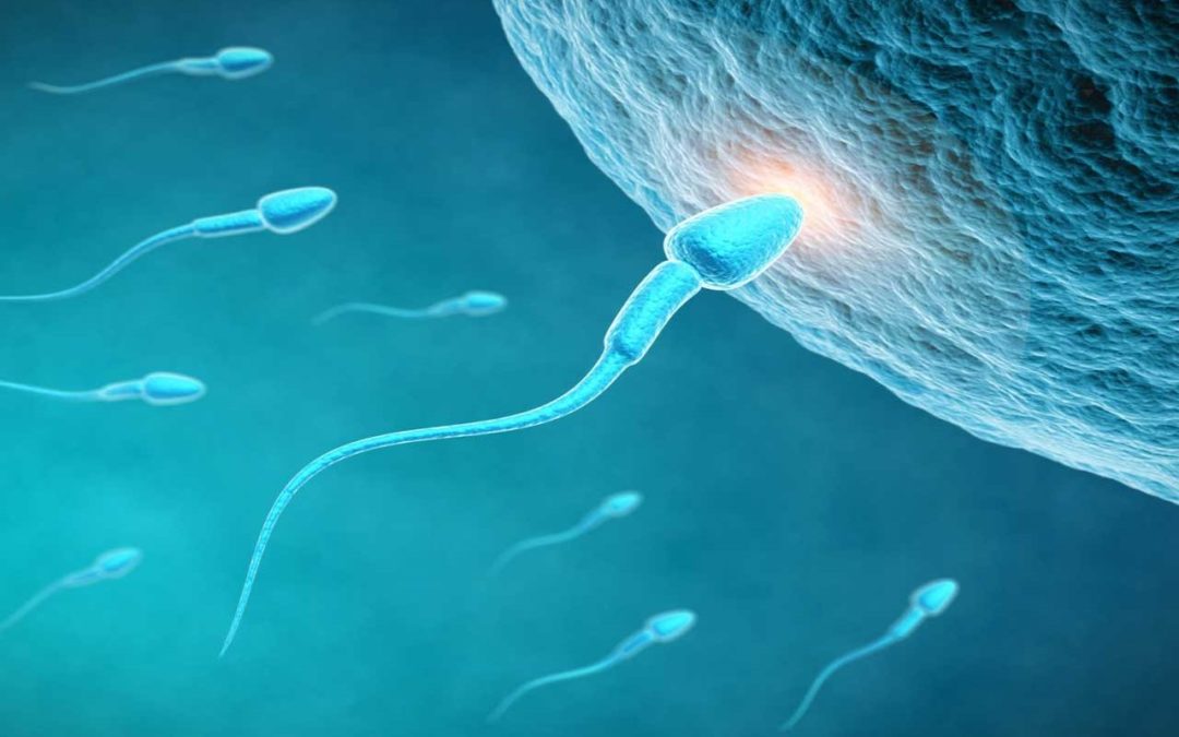 Υπογονιμότητα, αποβολές, αποτυχία IVF
