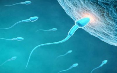 Υπογονιμότητα, αποβολές, αποτυχία IVF